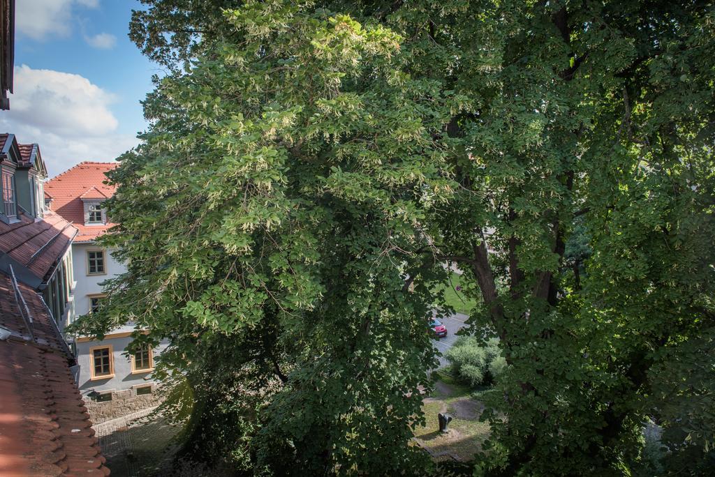 "Goethezimmer" Ferienwohnung Und Zimmer Am Burgplatz Βαϊμάρη Εξωτερικό φωτογραφία